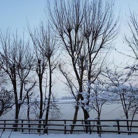 Motel Blue River Călimăneşti المظهر الخارجي الصورة