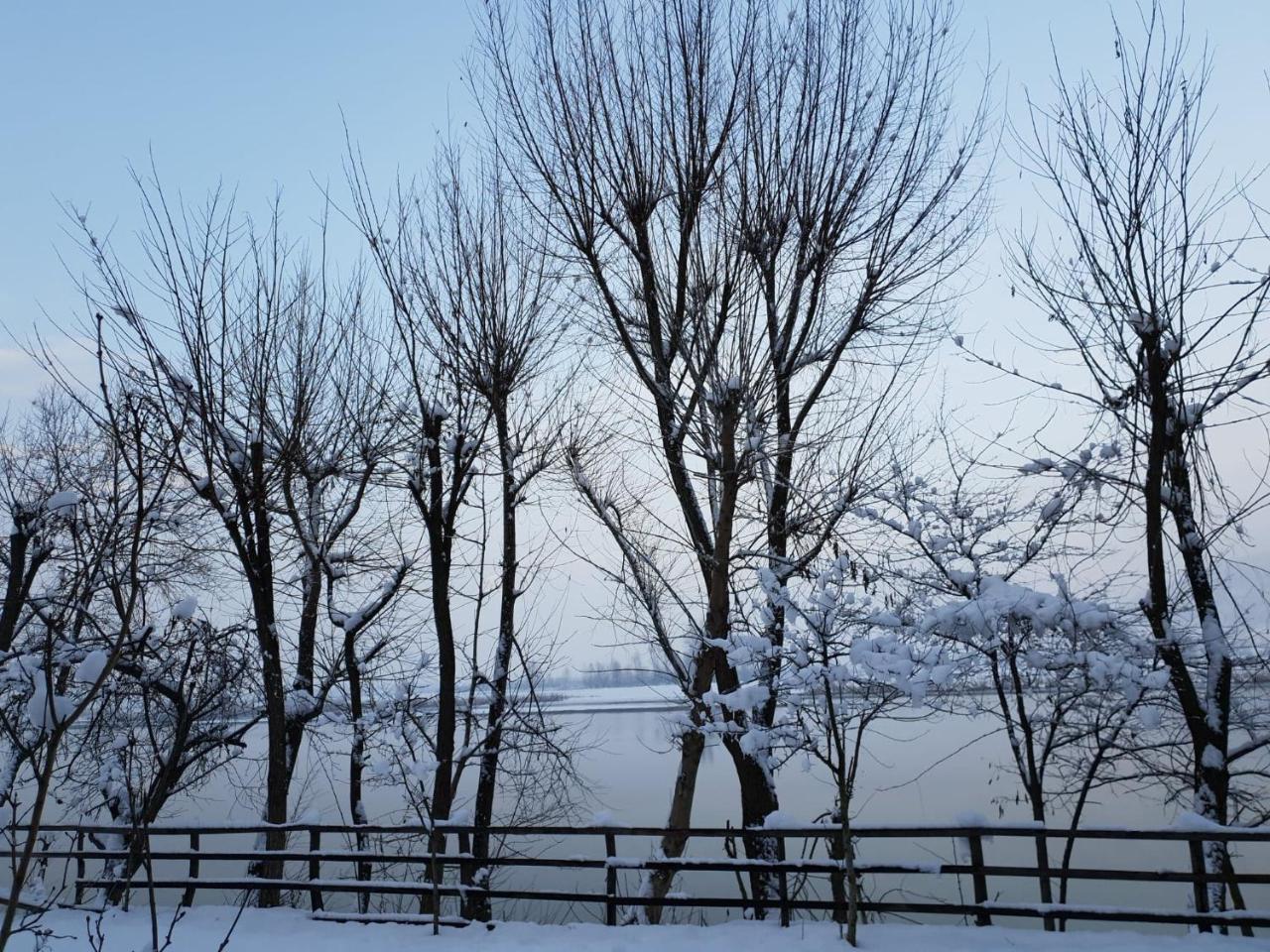 Motel Blue River Călimăneşti المظهر الخارجي الصورة